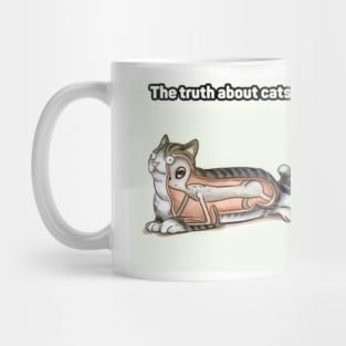 The Truth About Cats Mug